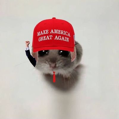 ChoppersClub01's profile picture. Their fondess for their own Language and Manners is natural: It is not a crime.