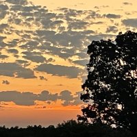 Steve Kadar (@steveinnn) 's Twitter Profile