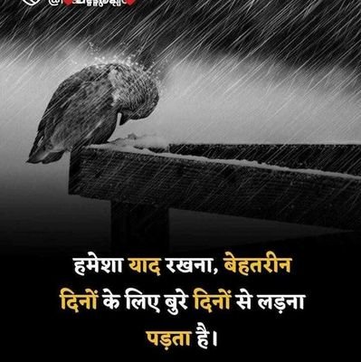 @bhosle20713