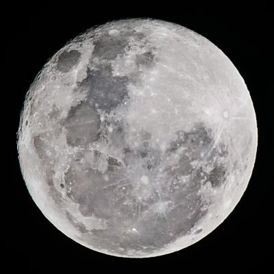 BenedictHarris's profile picture. US OUT OF NORTH AMERICA