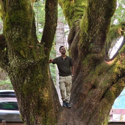 karvor10's profile picture. 