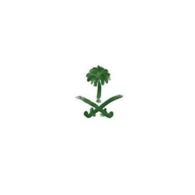 salwa789's profile picture. Legal advisor |SASL| TOT|مهتمة بالتطوير الاداري والتنمية الذاتية💚🇸🇦