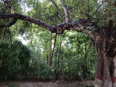 Amy_prisha's profile picture. https://t.co/CsYdRBrTMB. BHU'25