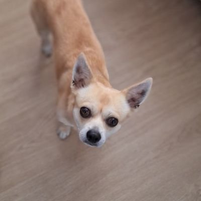 Varbox99's profile picture. 