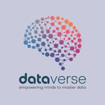 DataVerse_Inst's profile picture. Empowering minds to master Data