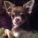 debra anne walton - @ladydebraanne - Twitter