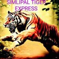 𝐒𝐈𝐌𝐋𝐈𝐏𝐀𝐋 𝐓𝐈𝐆𝐄𝐑. 🐯 (@tapan6370) 's Twitter Profile Photo 𝐒𝐈𝐌𝐋𝐈𝐏𝐀𝐋 𝐓𝐈𝐆𝐄𝐑. 🐯 (@tapan6370) 's Twitter Profile Photo