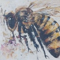 STOPEolicas (@stopeolicas) 's Twitter Profile