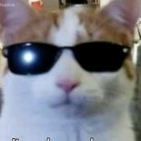 Mole962 (@mole962) 's Twitter Profile