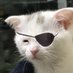 Calamitous Ortbo Survivor (@muss_n_fuss) Twitter profile photo Calamitous Ortbo Survivor (@muss_n_fuss) Twitter profile photo