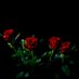 Demetria Rosebud ๐ฅ (@authordrose) Twitter profile photo Demetria Rosebud ๐ฅ (@authordrose) Twitter profile photo