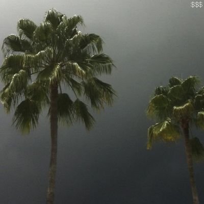 PsychoUproar's profile picture. https://t.co/2o9hruKUV0