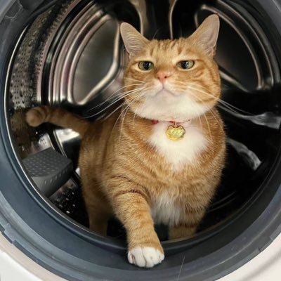 GarkyG's profile picture. 
