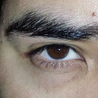 Elculodemexico 👑 (@elculodemexicoo) 's Twitter Profile Photo Elculodemexico 👑 (@elculodemexicoo) 's Twitter Profile Photo