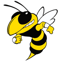 FvHS Sport and Human Performance (@wcsfvhsmedsci) 's Twitter Profile