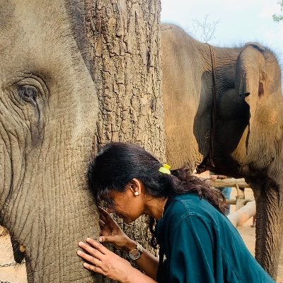 veena70850867's profile picture. Create your own SuNshiNe🌞☀️ 
Civil Engineer | Highway | Nature|
Travel |Foodie|🌱GreenSaviours🌱Target 🌱OneMillionGreens 🌱WesternGhats 🌱EachOne🌱PlantOne🌱