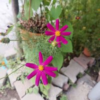 Yusuf Kırtay (@faithadami) Twitter profile photo