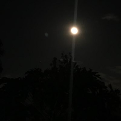 jyd204_'s profile picture. 