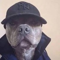m¡key (@boxingfan69) 's Twitter Profile