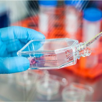 Sales Engineer for LiveScience equipment. Cell Culture Manipulators, Incubators multilayer vessel transfer carts, Incubation Monitoring Syst, RTorres@djausa.com