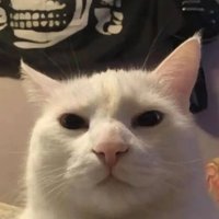 Mysteriöser Sigma (@syxnec) Twitter profile photo