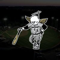 Dassel-Cokato Saints (@dcsaints) 's Twitter Profile