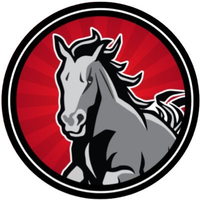 StonecreekJHS's profile picture. AVID National Demonstration School Mission: Inspire and equip leaders to enrich our global community. * this is the official Stonecreek Jr. High account*
