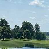 n99b100's profile picture. 