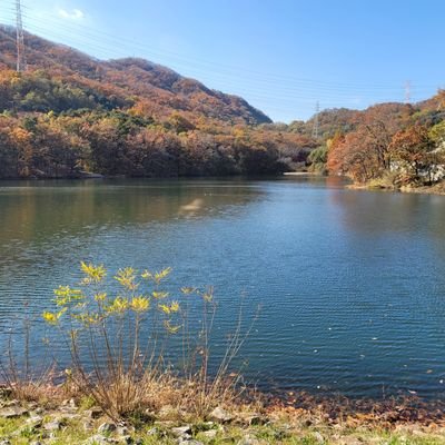 노무현.문재인.이낙연, 새민주당원