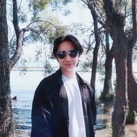 SimianLuo (@luosimian) 's Twitter Profile