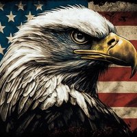 Joe Marcel (@marcel14joe) 's Twitter Profile Photo