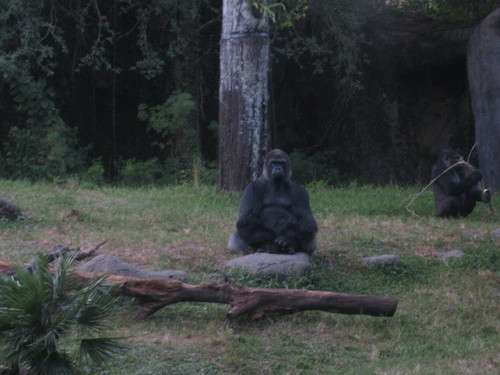 aglov001's profile picture. 