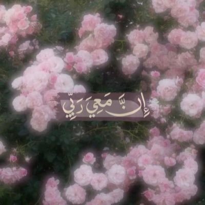 dikh_16's profile picture. 🇹🇳🇨🇭