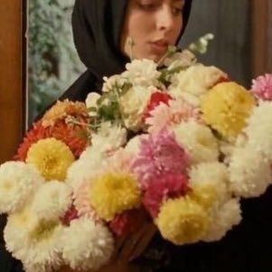 taediummvitae's profile picture. 