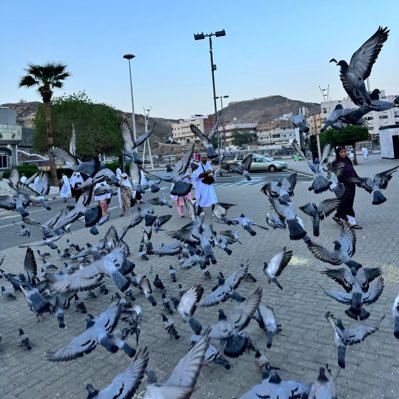 AdamBabaIb92420's profile picture. 