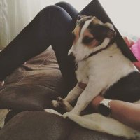 Nisha (@neinz86) 's Twitter Profile