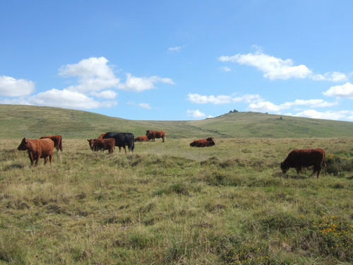 All aspects of Dartmoor’s rich culture and landscape, past and present, are included, and accompanied by a wide range of photographs.