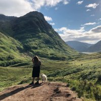 Liv 🌲 (@livkrake) 's Twitter Profile