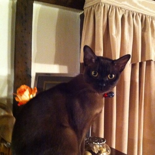 SUSIEGEE1968's profile picture. 