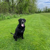 Colin McLaughlin, DPT (@c_mclaughlin55) 's Twitter Profile