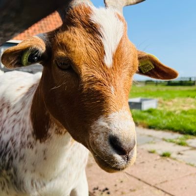 Imsudheerkumar's profile picture. 