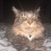 . (@imboredsothis) Twitter profile photo . (@imboredsothis) Twitter profile photo