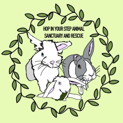 Non profit organisation that specialises in rescuing and rehabilitating rabbits across the UK