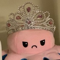 🧚‍♀️ (@raeesanasir) 's Twitter Profile