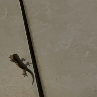 2020kyukyu2021's profile picture. 