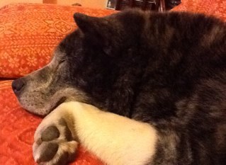 Massimattioli's profile picture. 