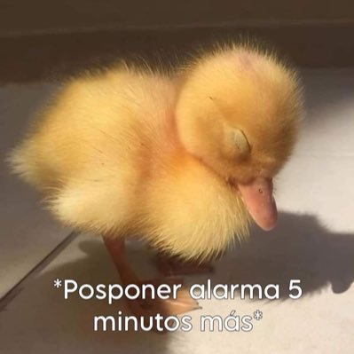 TioYaye's profile picture. 