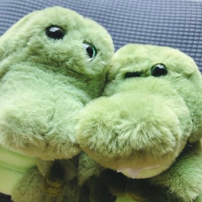 動物とぬい大好き。🐊 うちのワーリーとビブの生活の写真あげたり、ちょこっと動画も作ってみたり。((🐊)) インスタグラム始めてみました📷