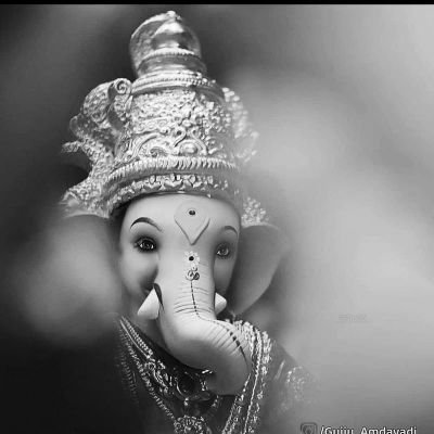 anaya05510's profile picture. जय श्री राम🙏
#indian  🇮🇳