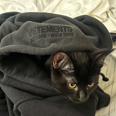 hitecbleedin's profile picture. 